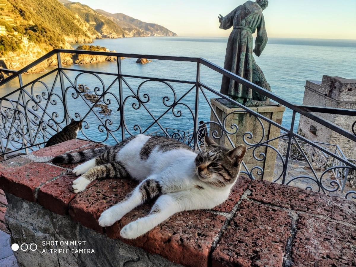 Via Verdi 5, Gli Affreschi Monterosso al Mare Dış mekan fotoğraf