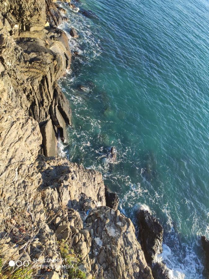 Via Verdi 5, Gli Affreschi Monterosso al Mare Dış mekan fotoğraf