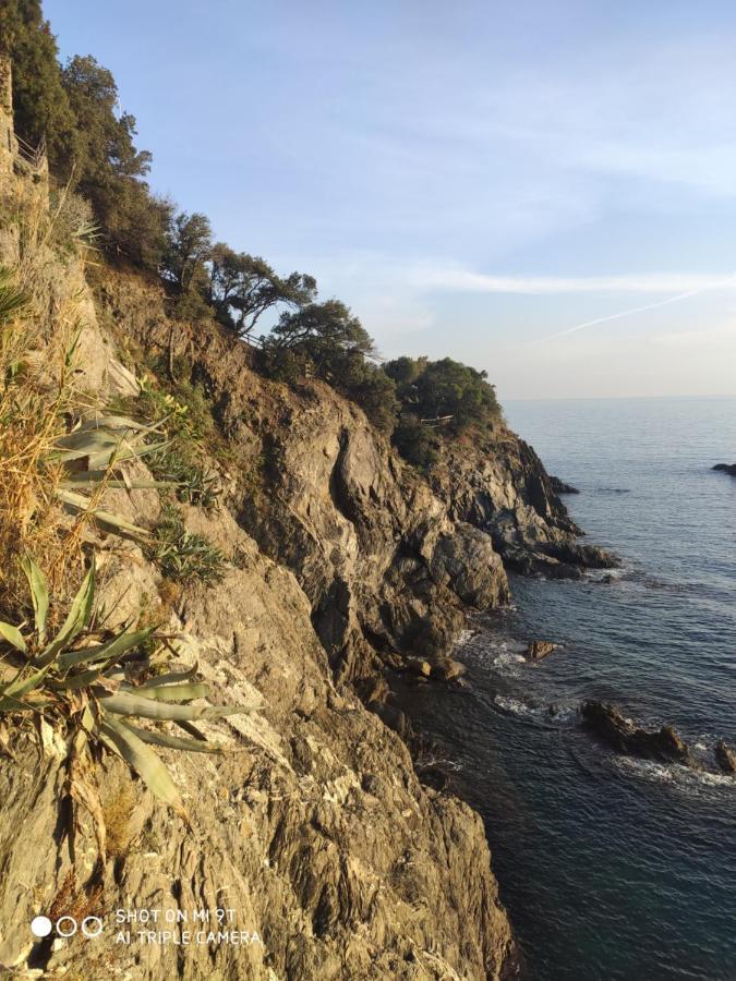 Via Verdi 5, Gli Affreschi Monterosso al Mare Dış mekan fotoğraf